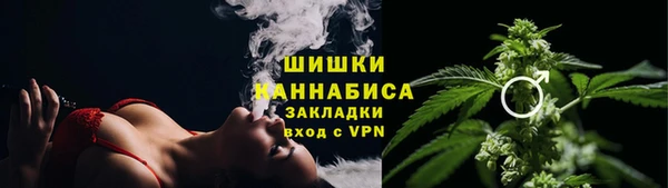 PSILOCYBIN Зеленодольск