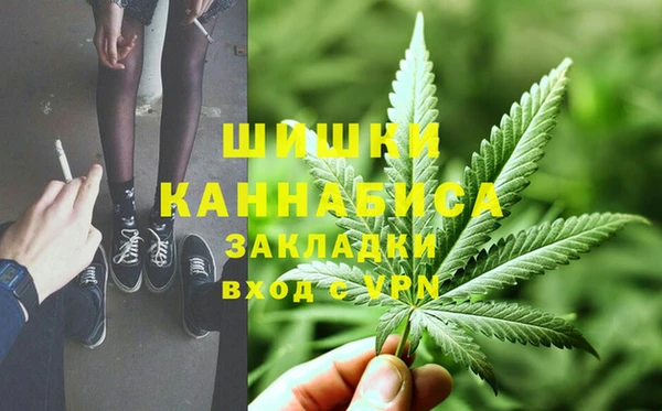 PSILOCYBIN Зеленодольск
