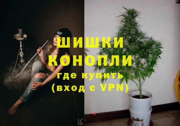 PSILOCYBIN Зеленодольск